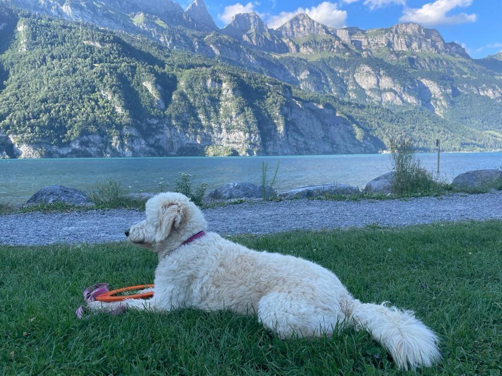 Doodle'S Amazing Chalet -Walensee - Flumserberg - Churfirsten - Heidiland - Pool - Sauna Mols Екстериор снимка