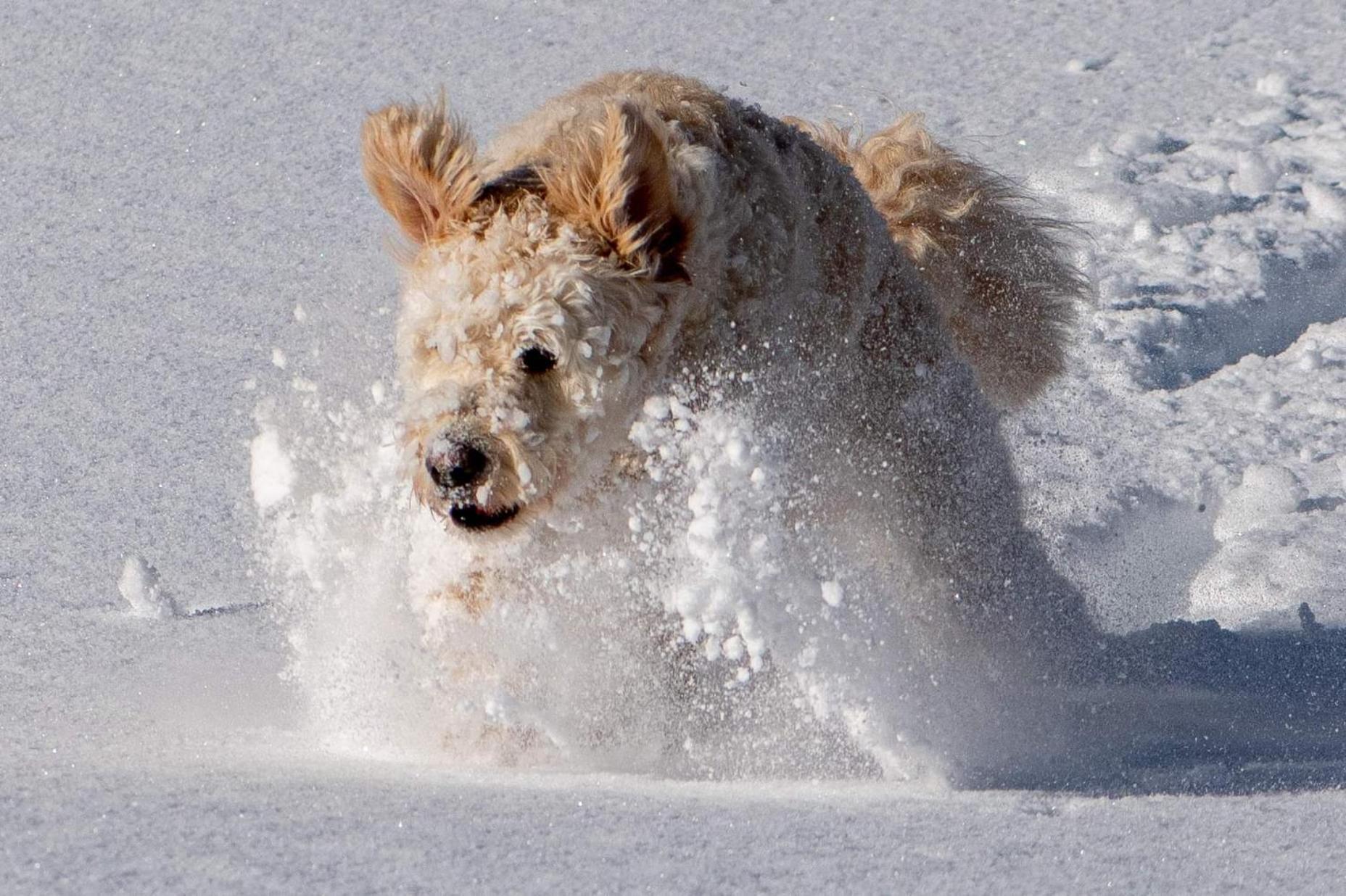 Doodle'S Amazing Chalet -Walensee - Flumserberg - Churfirsten - Heidiland - Pool - Sauna Mols Екстериор снимка