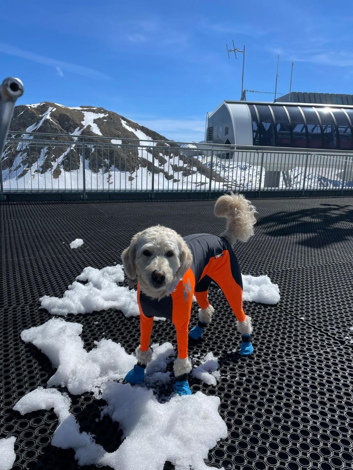 Doodle'S Amazing Chalet -Walensee - Flumserberg - Churfirsten - Heidiland - Pool - Sauna Mols Екстериор снимка